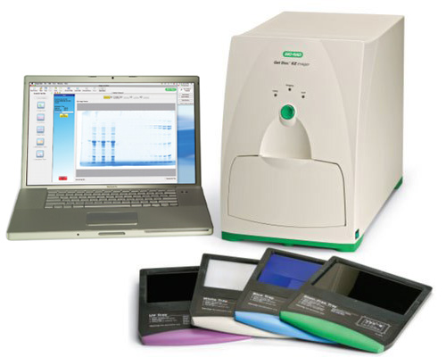 Gel Doc EZ Imaging System