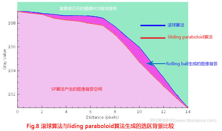 Fig 8 滾球算法與liding paraboloid算法生成的選區(qū)圖像背景.jpg