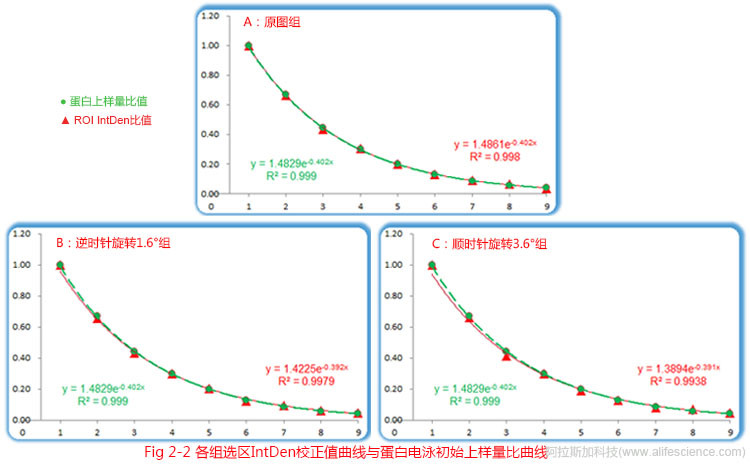 Fig 2-2 各組ROI IntDen值比值曲線與蛋白電泳初始載量比值曲線.jpg