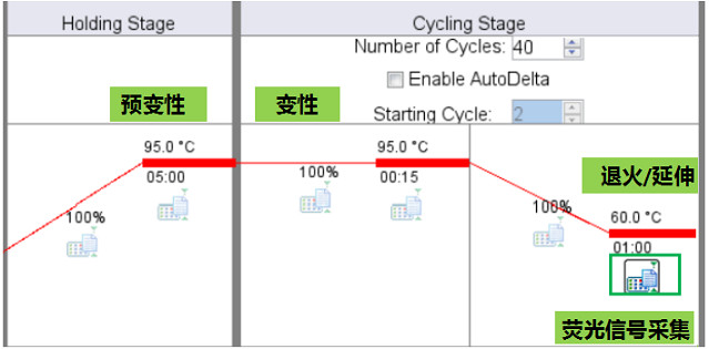 7500 Fast StepOnePlus ViiA7實(shí)時實(shí)時熒光定量PCR儀雙溫循環(huán)程序熒光信號采集時間設(shè)置.jpg