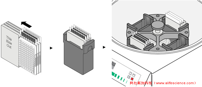 實(shí)時(shí)熒光定量PCR儀TAC離心示意圖.jpg