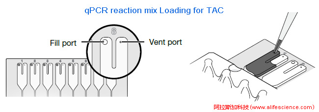 實(shí)時(shí)熒光定量PCR TAC上樣操作示意圖.jpg