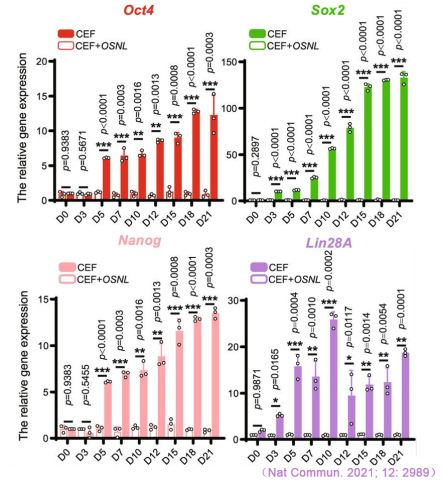 CFX Connect實時熒光定量PCR儀對iPS多能性標記基因Oct4、Sox2、Nanog和Lin28A表達的檢測.jpg