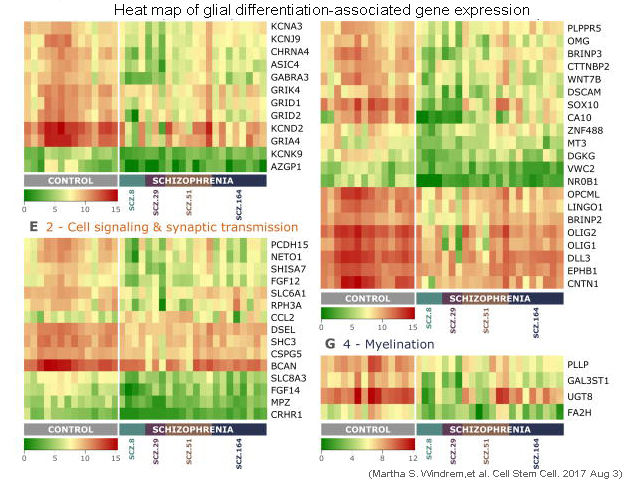 QuantStudio 12K Flex實(shí)時(shí)熒光定量PCR儀TAC測試數(shù)據(jù)heatmap.jpg