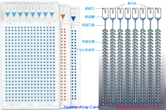 QuantStudio 7 Pro實(shí)時(shí)熒光定量PCR儀TaqMan Array Card.jpg