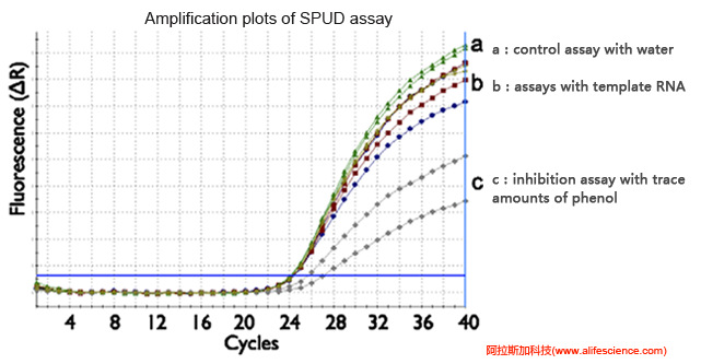 蜂蜜瀏覽器_實時熒光定量PCR反應(yīng)抑制劑測試.jpg