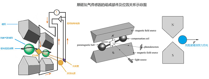 順磁氧氣傳感器的組成部件及位置關(guān)系示意圖.jpg